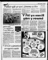 Herald Cymraeg Saturday 11 February 1989 Page 51