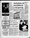 Herald Cymraeg Saturday 18 February 1989 Page 19