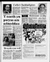Herald Cymraeg Saturday 25 February 1989 Page 9