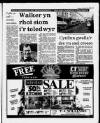 Herald Cymraeg Saturday 25 February 1989 Page 11