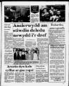 Herald Cymraeg Saturday 04 March 1989 Page 3