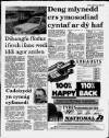 Herald Cymraeg Saturday 04 March 1989 Page 13