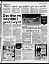 Herald Cymraeg Saturday 04 March 1989 Page 51