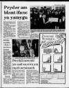 Herald Cymraeg Saturday 11 March 1989 Page 19