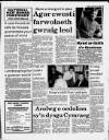 Herald Cymraeg Saturday 18 March 1989 Page 33