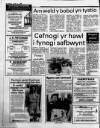 Herald Cymraeg Saturday 08 April 1989 Page 6