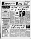 Herald Cymraeg Saturday 08 April 1989 Page 19