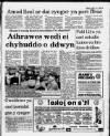 Herald Cymraeg Saturday 15 April 1989 Page 3