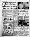 Herald Cymraeg Saturday 15 April 1989 Page 8