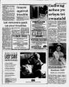 Herald Cymraeg Saturday 15 April 1989 Page 17