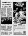 Herald Cymraeg Saturday 15 April 1989 Page 19