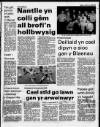 Herald Cymraeg Saturday 15 April 1989 Page 55