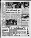Herald Cymraeg Saturday 29 April 1989 Page 3