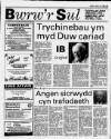 Herald Cymraeg Saturday 29 April 1989 Page 25