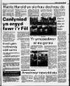 Herald Cymraeg Saturday 29 April 1989 Page 54