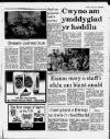 Herald Cymraeg Saturday 27 May 1989 Page 38