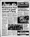 Herald Cymraeg Saturday 27 May 1989 Page 62