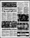 Herald Cymraeg Saturday 03 June 1989 Page 46