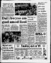 Herald Cymraeg Saturday 10 June 1989 Page 3