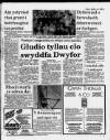 Herald Cymraeg Saturday 10 June 1989 Page 5
