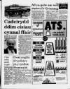 Herald Cymraeg Saturday 10 June 1989 Page 13