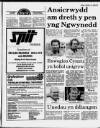 Herald Cymraeg Saturday 10 June 1989 Page 15