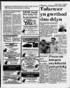 Herald Cymraeg Saturday 10 June 1989 Page 17