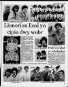 Herald Cymraeg Saturday 10 June 1989 Page 19