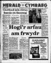 Herald Cymraeg Saturday 17 June 1989 Page 1