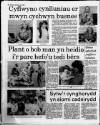 Herald Cymraeg Saturday 24 June 1989 Page 10