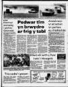 Herald Cymraeg Saturday 24 June 1989 Page 59