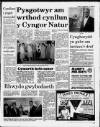 Herald Cymraeg Saturday 01 July 1989 Page 3