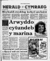Herald Cymraeg Saturday 29 July 1989 Page 1