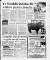 Herald Cymraeg Saturday 29 July 1989 Page 3