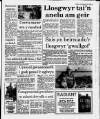 Herald Cymraeg Saturday 29 July 1989 Page 11