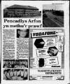 Herald Cymraeg Saturday 29 July 1989 Page 15