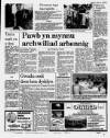 Herald Cymraeg Saturday 05 August 1989 Page 7