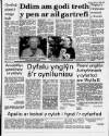 Herald Cymraeg Saturday 02 September 1989 Page 13