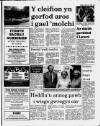 Herald Cymraeg Saturday 09 September 1989 Page 15