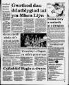 Herald Cymraeg Saturday 16 September 1989 Page 3