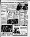 Herald Cymraeg Saturday 30 September 1989 Page 3
