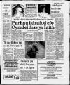 Herald Cymraeg Saturday 07 October 1989 Page 3