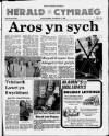 Herald Cymraeg Saturday 11 November 1989 Page 1