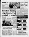 Herald Cymraeg Saturday 11 November 1989 Page 3