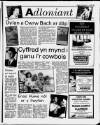 Herald Cymraeg Saturday 11 November 1989 Page 21