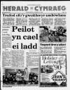 Herald Cymraeg Saturday 18 November 1989 Page 1