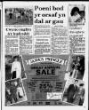 Herald Cymraeg Saturday 30 December 1989 Page 3