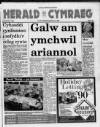 Herald Cymraeg Saturday 13 January 1990 Page 1
