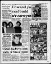 Herald Cymraeg Saturday 03 February 1990 Page 5