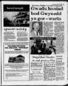 Herald Cymraeg Saturday 03 February 1990 Page 15